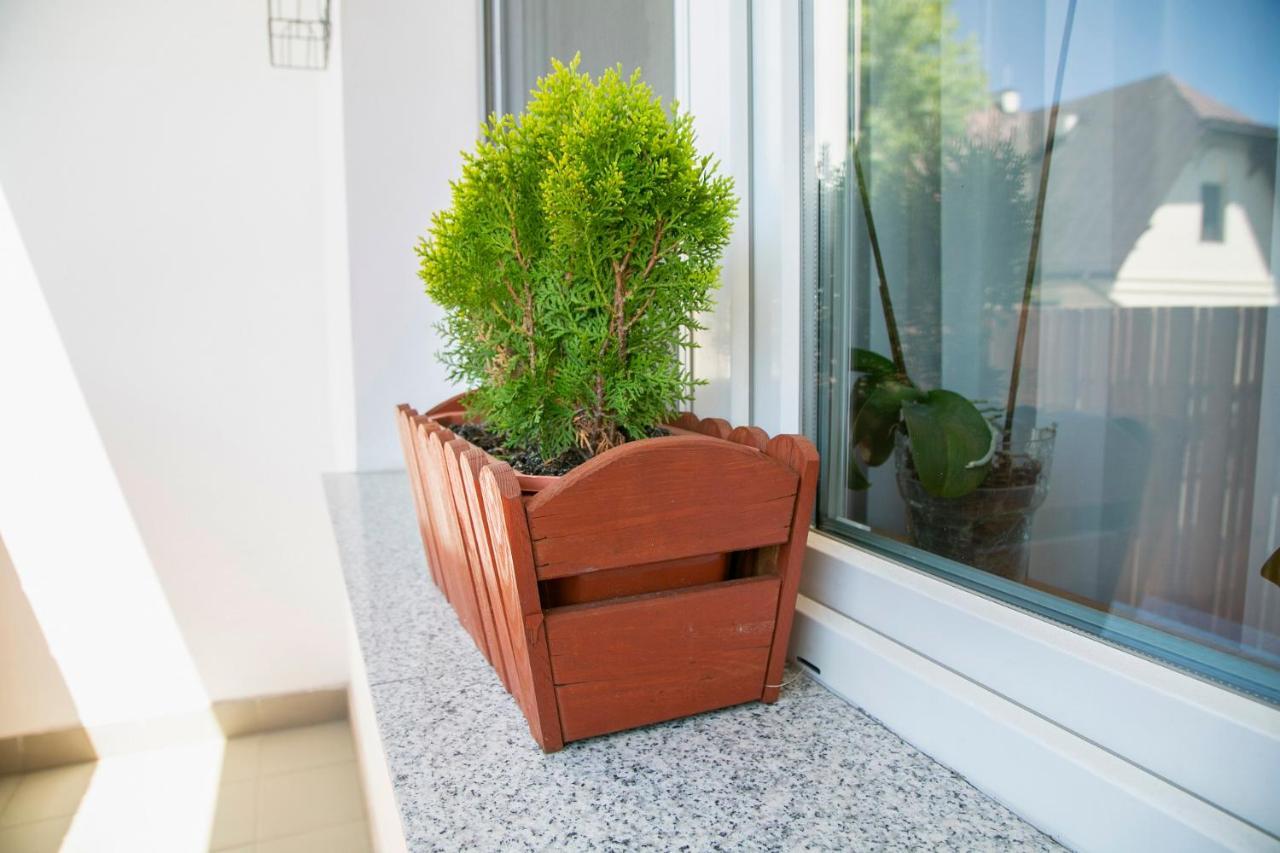 Best Apartment Tarnow Exterior photo